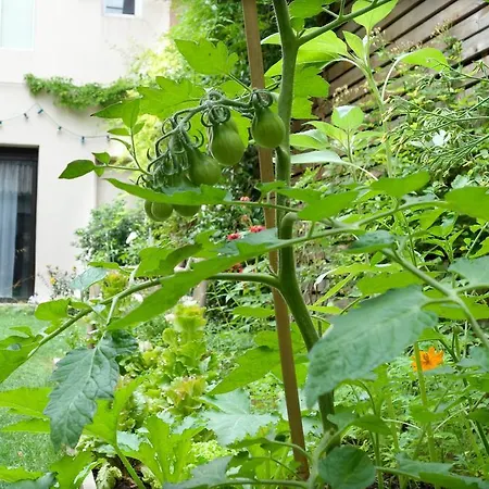 La Campagne A Paris B&B-2